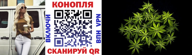 Купить наркотики цена Луза Гашиш  Cocaine  Мефедрон 
