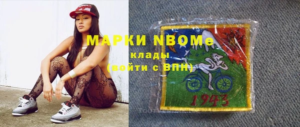 стаф Кулебаки