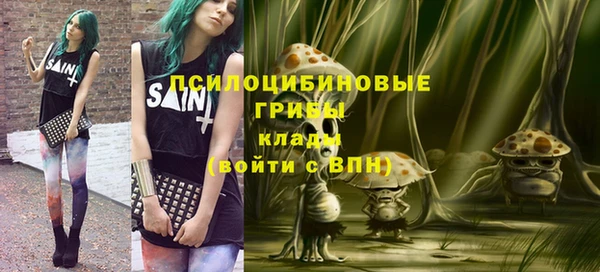 стаф Кулебаки